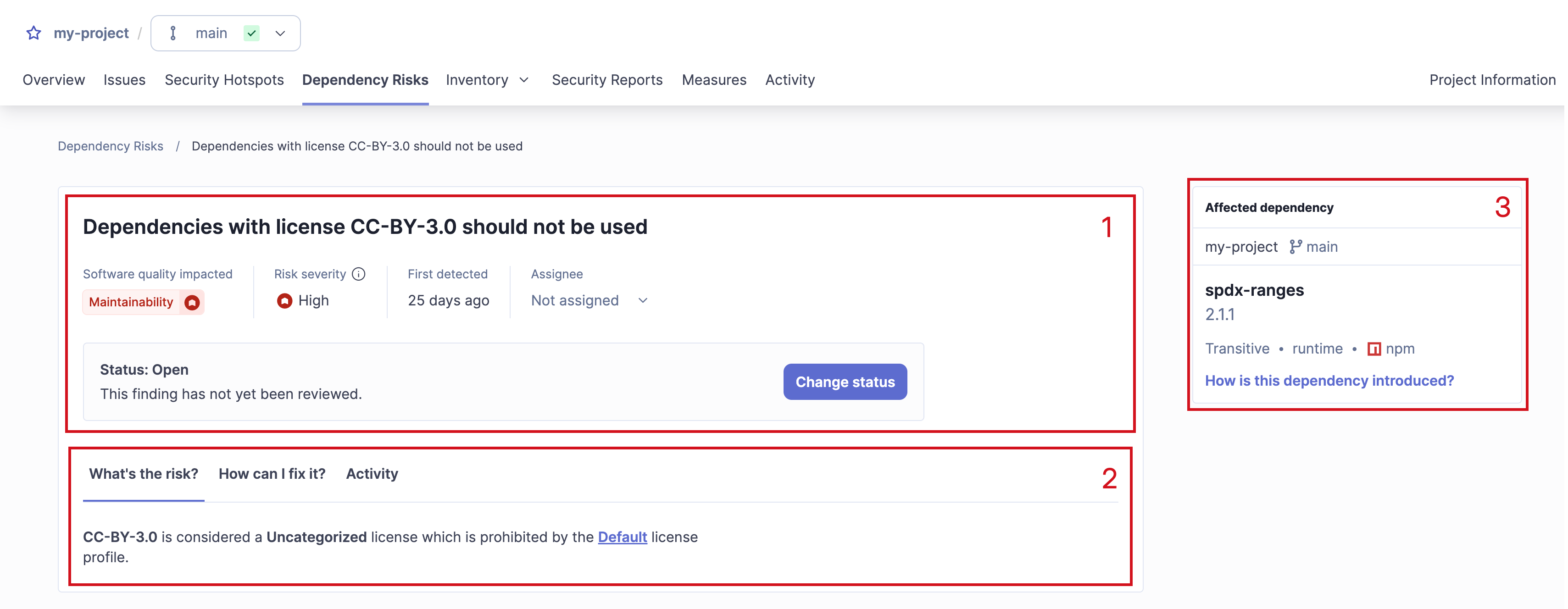 The information displayed on a dependency risk detailed view.